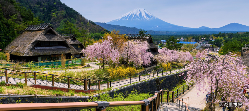 西湖里根場合掌村